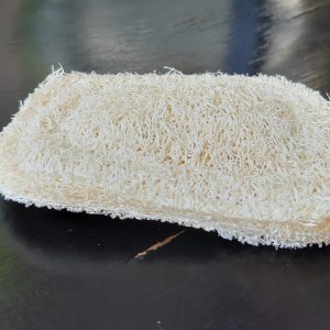 Estropajo vegetal de luffa