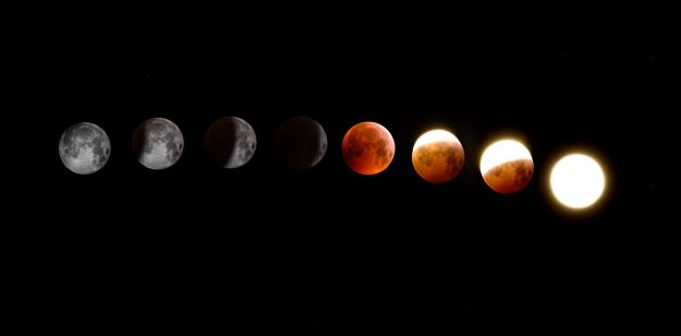 1.Foto de Alex Andrews en Pexels