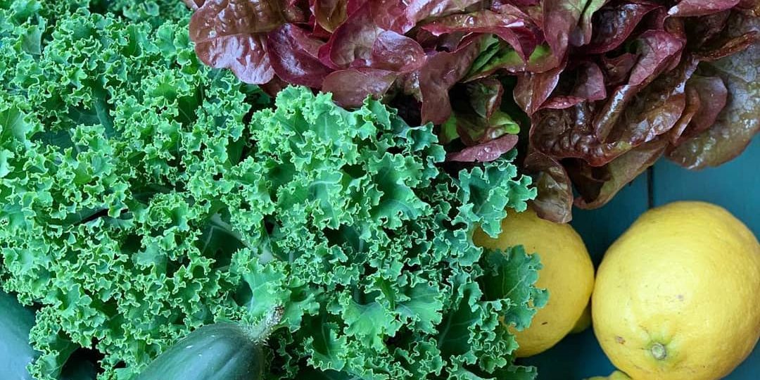 consumo ecológico: ¿Más caro o más barato?