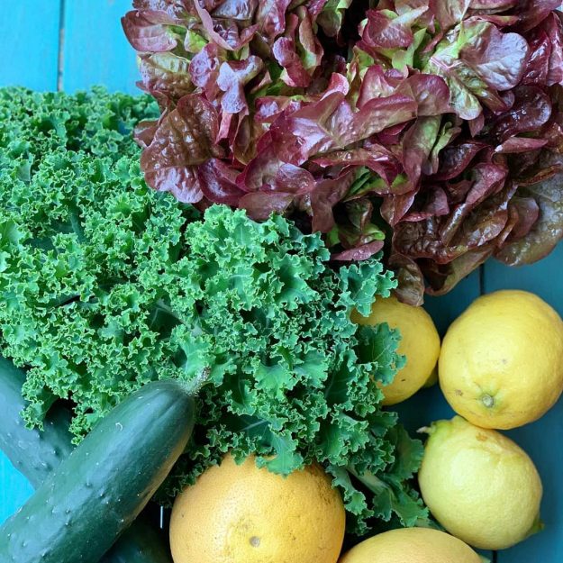 productos ecológicos yebio consumo ecológico: ¿Más caro o más barato?